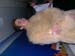 DSCN0979